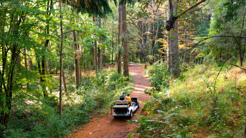 901307359180187 eastwoodhill arboretum 8
