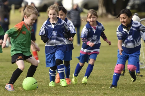 179171 soccer primary