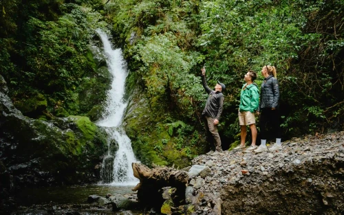 20241118 MotuJets014low res