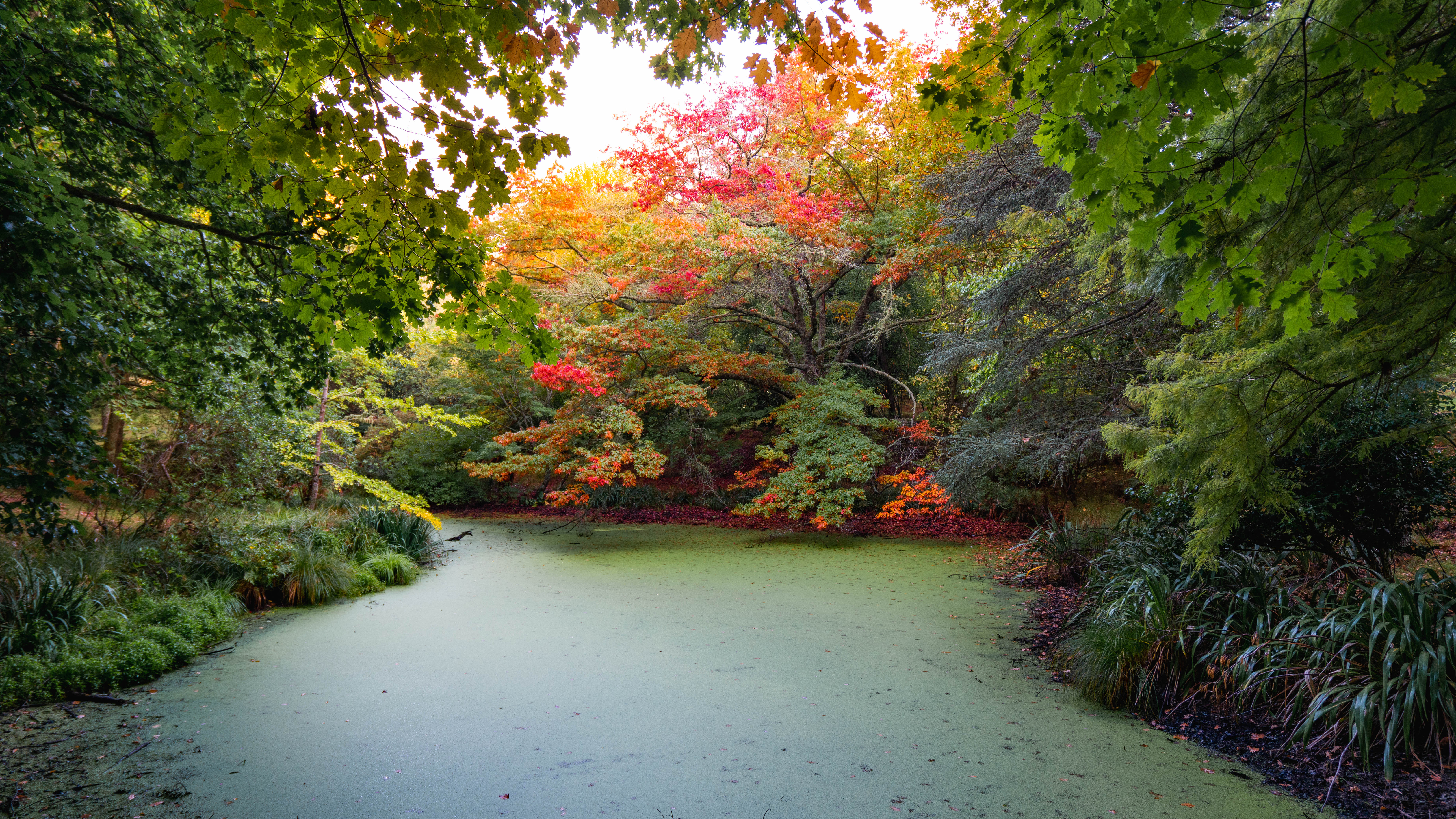 Eastwoodhill Arboretum 2 EDIT