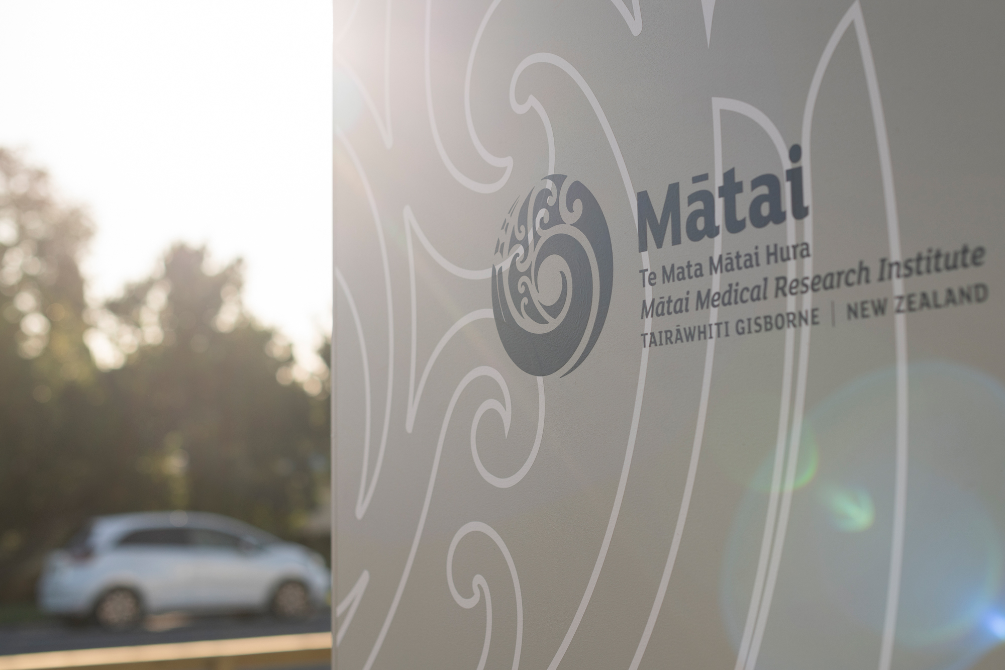 Low Res 20240702 STR 9838