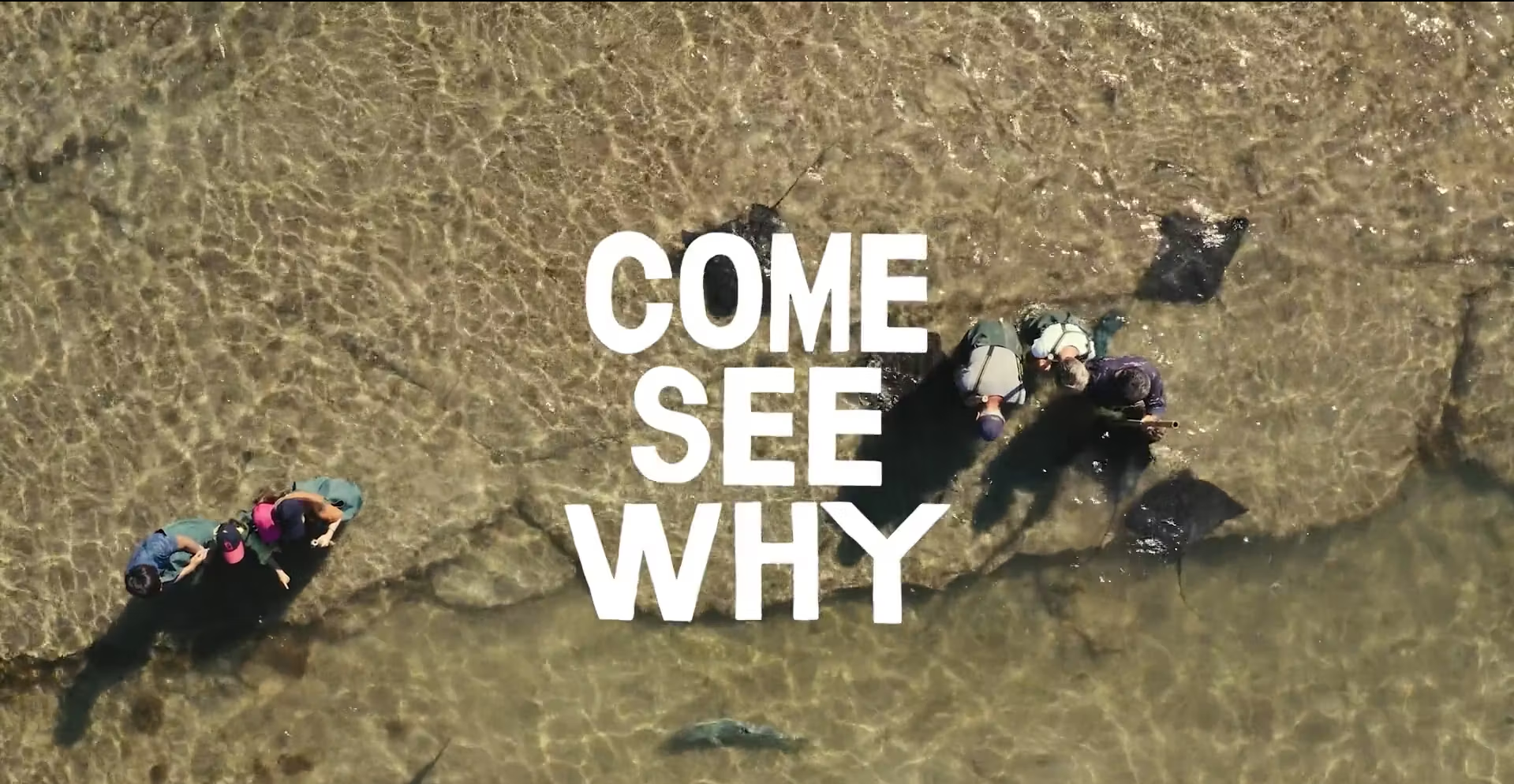 Screenshot 2024 09 27 134521