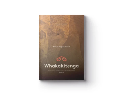 Tairāwhiti Economic Plan Annual Progress Report