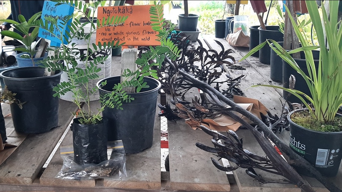 d05b00c7 b562 8896 edde 6a388a5346d3